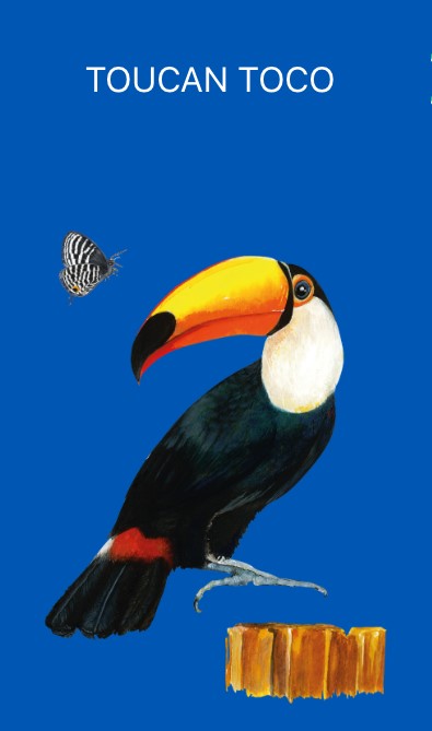 sitckers toucan