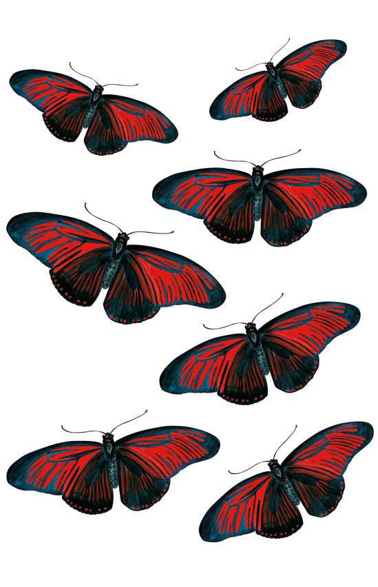 la planche de stickers papillons rouges